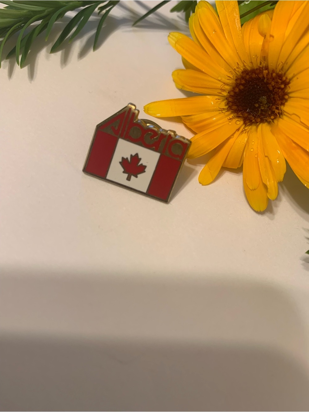 Alberta Canada Flag Enamel Pin - Red & White Maple Leaf